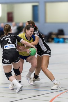 Bild 220 - F HSG Pinnau2 - Rellinger TV2 : Ergebnis: 27:20